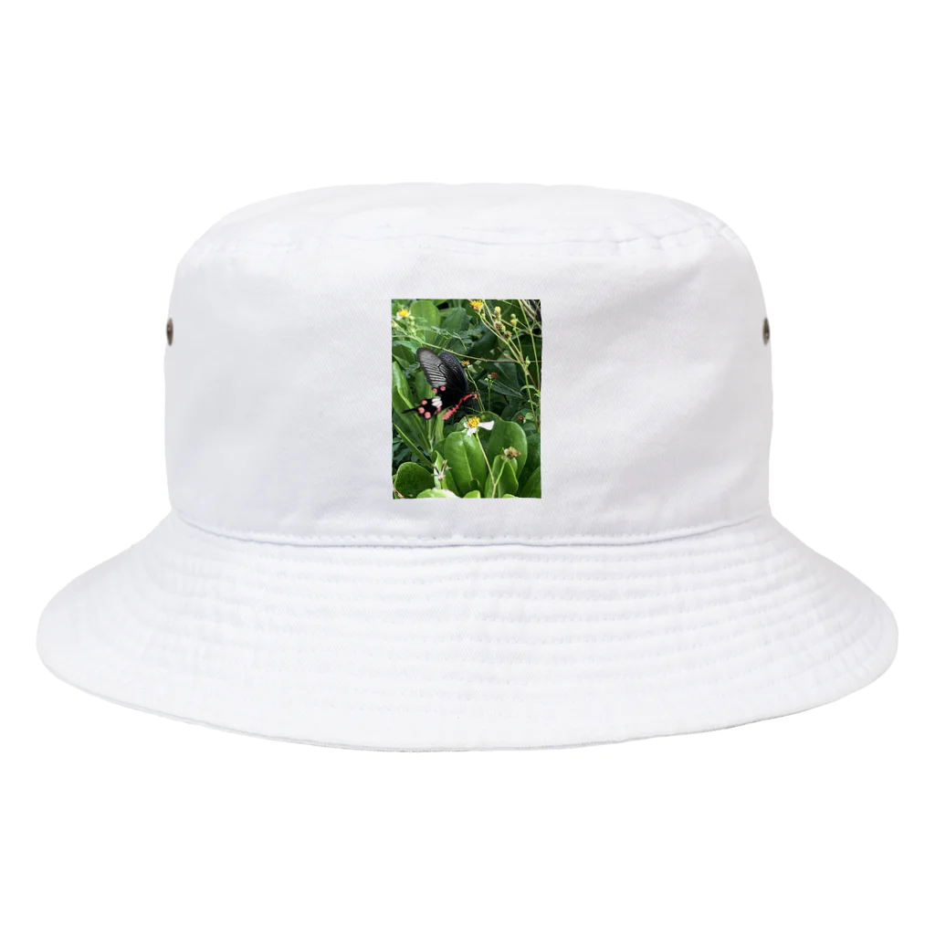 ﾂ--ﾂ--ﾂ--のﾁｮｰﾁｮ Bucket Hat