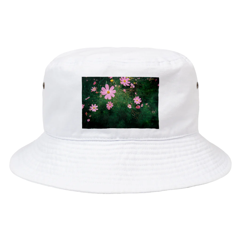 芽々の秋桜 Bucket Hat