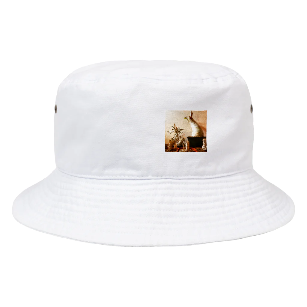 BotaniCodexのグラパキ Bucket Hat