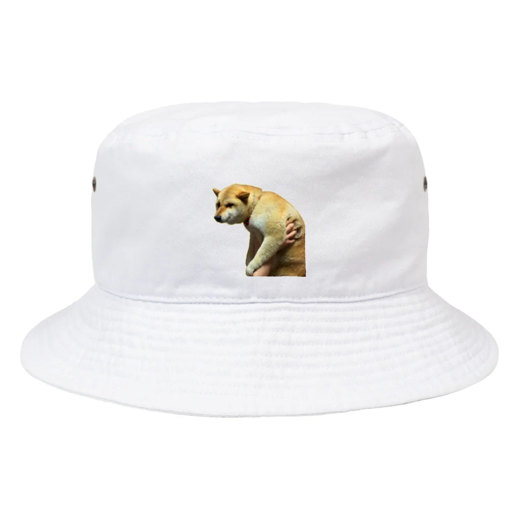 柴犬しばわんこhana873の微妙な表情のもふもふ柴犬しばいぬ Bucket Hat