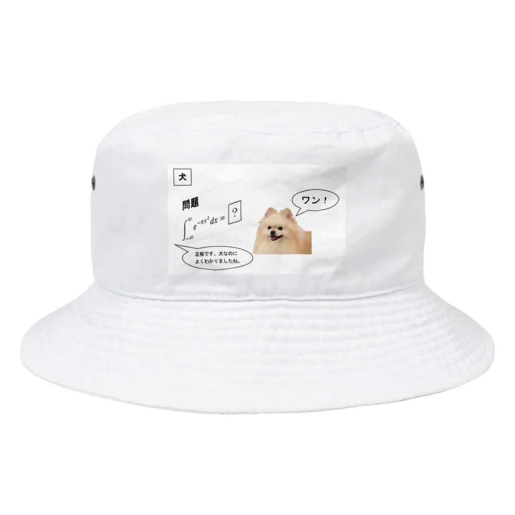 mikami🐬🏯身体弱いの積分∫犬 Bucket Hat