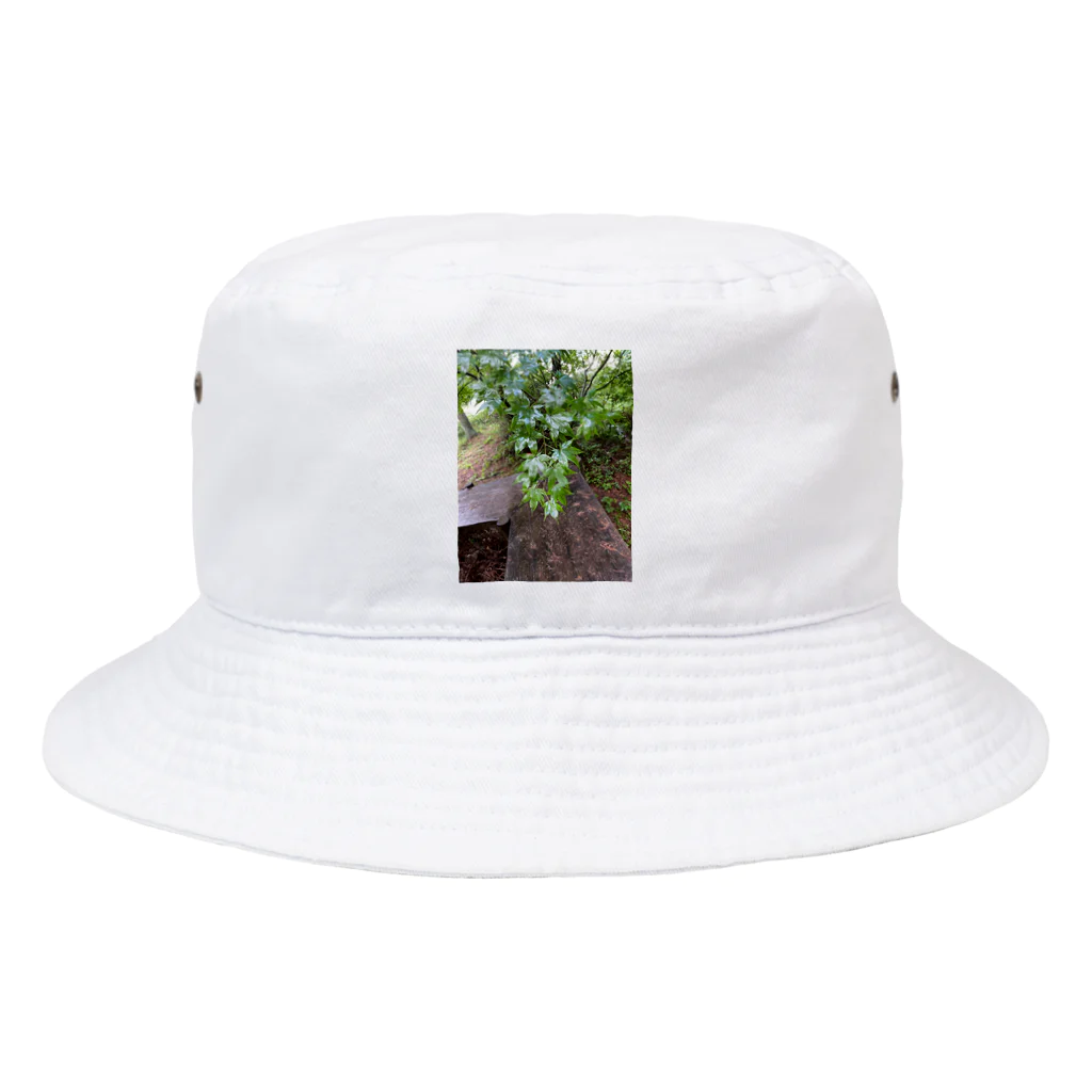 もちの🍃 @moti Bucket Hat