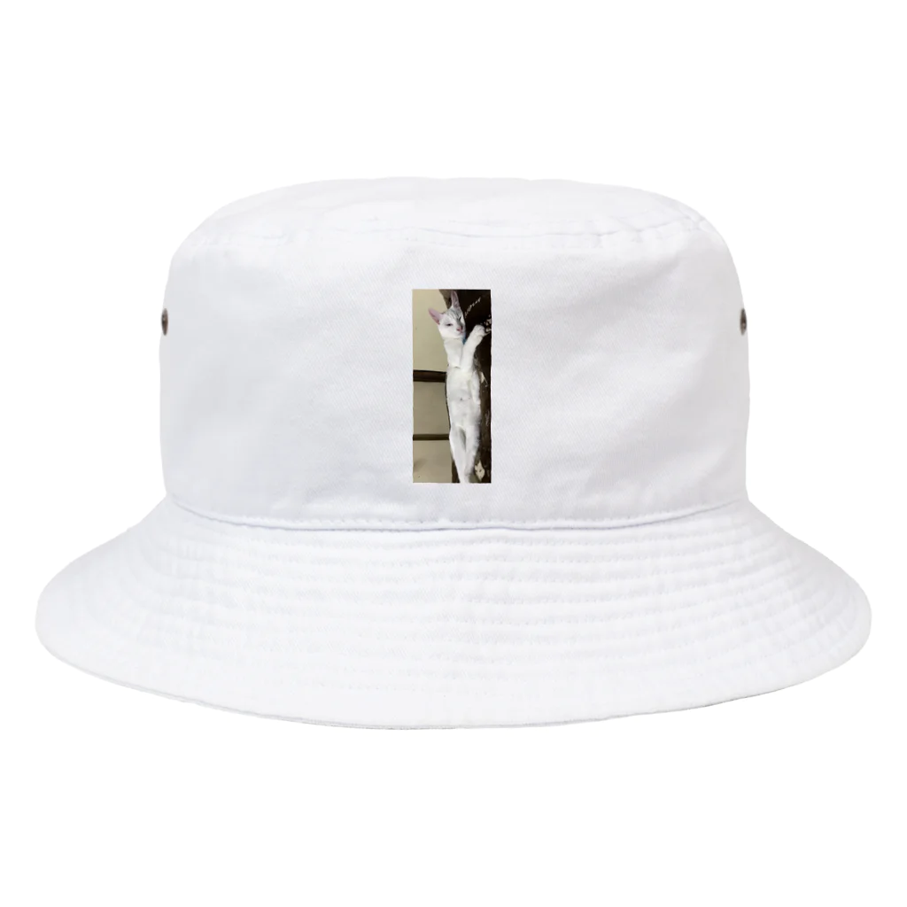 猫の雑貨屋のマロ Bucket Hat