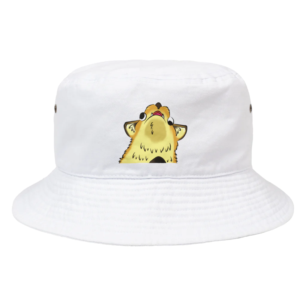 YUSHINのＲ FAMILY-11 Bucket Hat