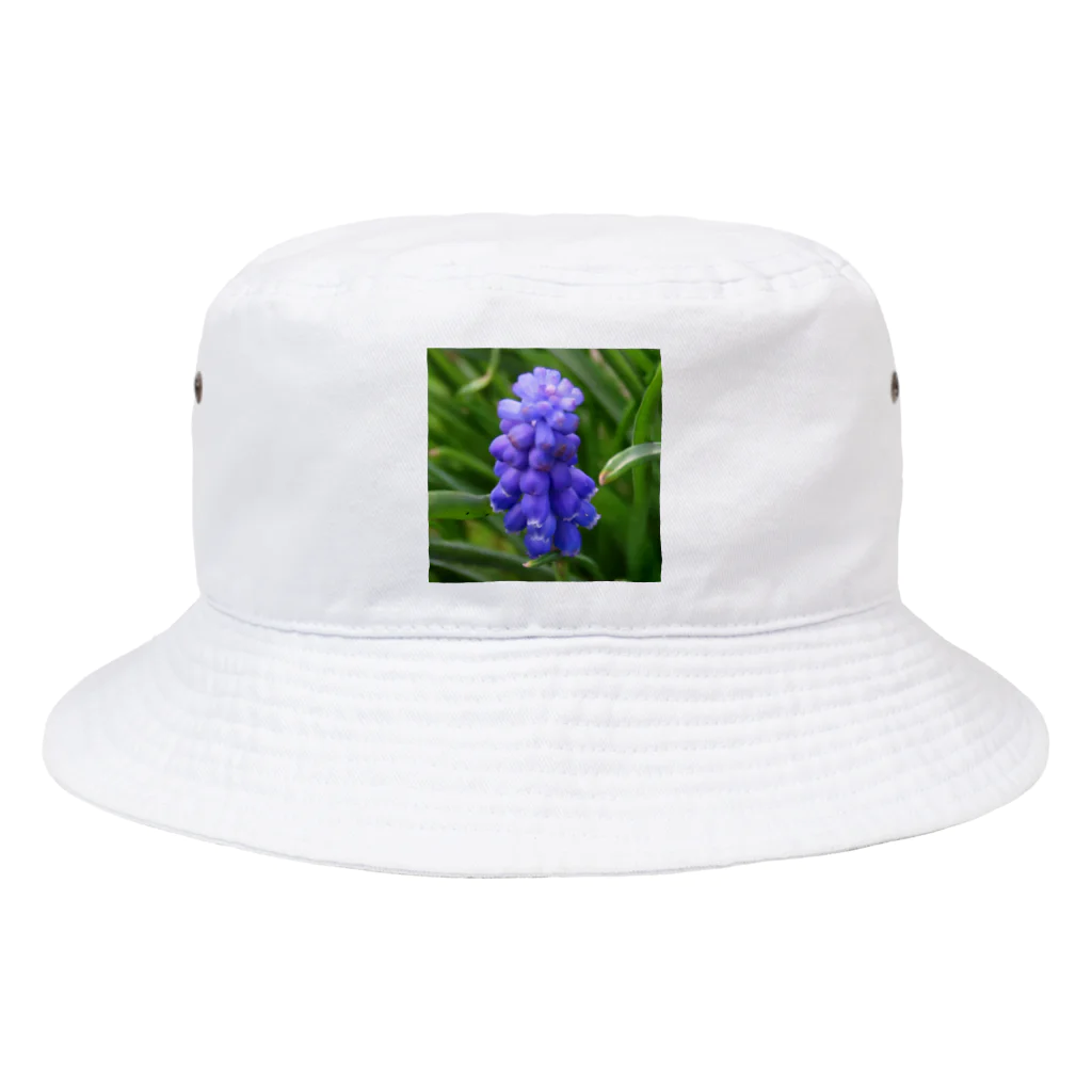 でおきしりぼ子の実験室のMuscari botryoides(1:1) Bucket Hat