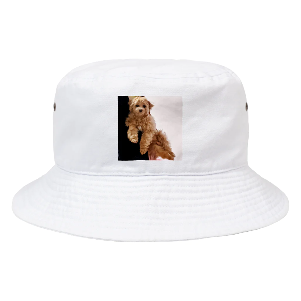 ニューヨークのローズ Bucket Hat