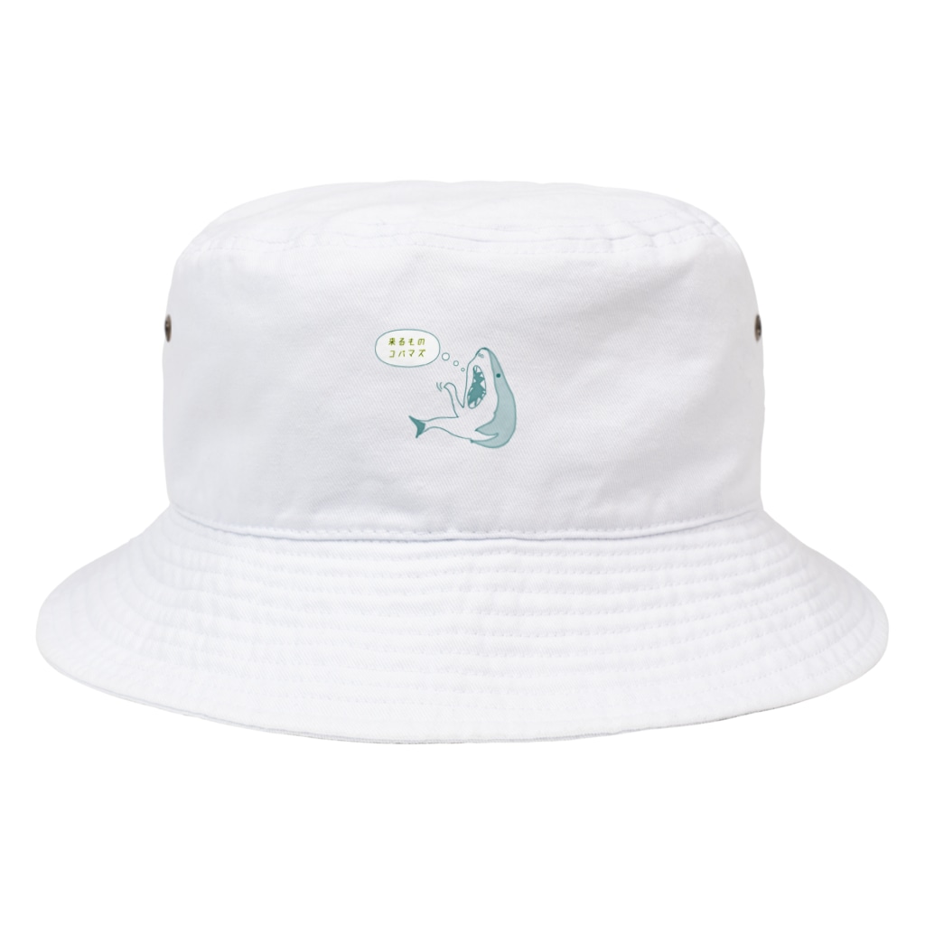 【サメグッズ】　KAZUの来るものコバマズさめ Bucket Hat
