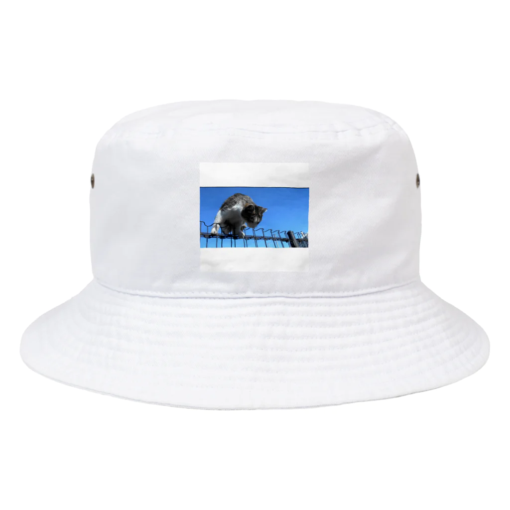 ながしっぽ from.さくらねこの家のながしっぽ　type.C Bucket Hat