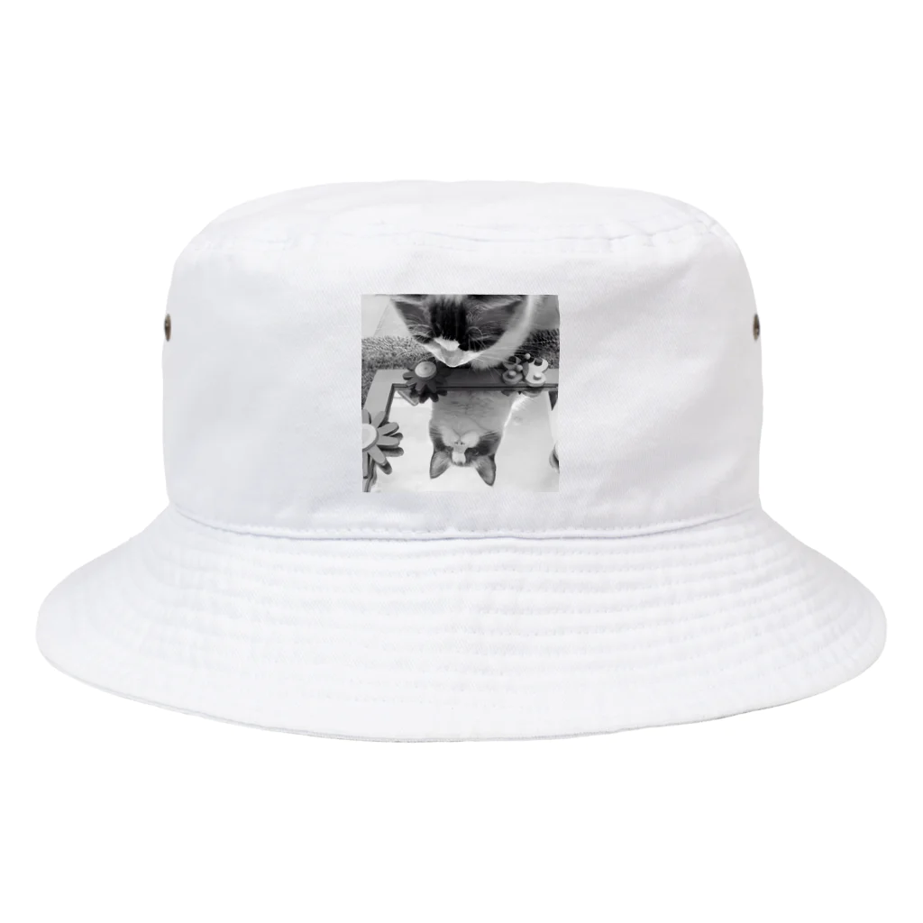 オッサン‘s ショップの鏡の中のマロンたん😍 Bucket Hat