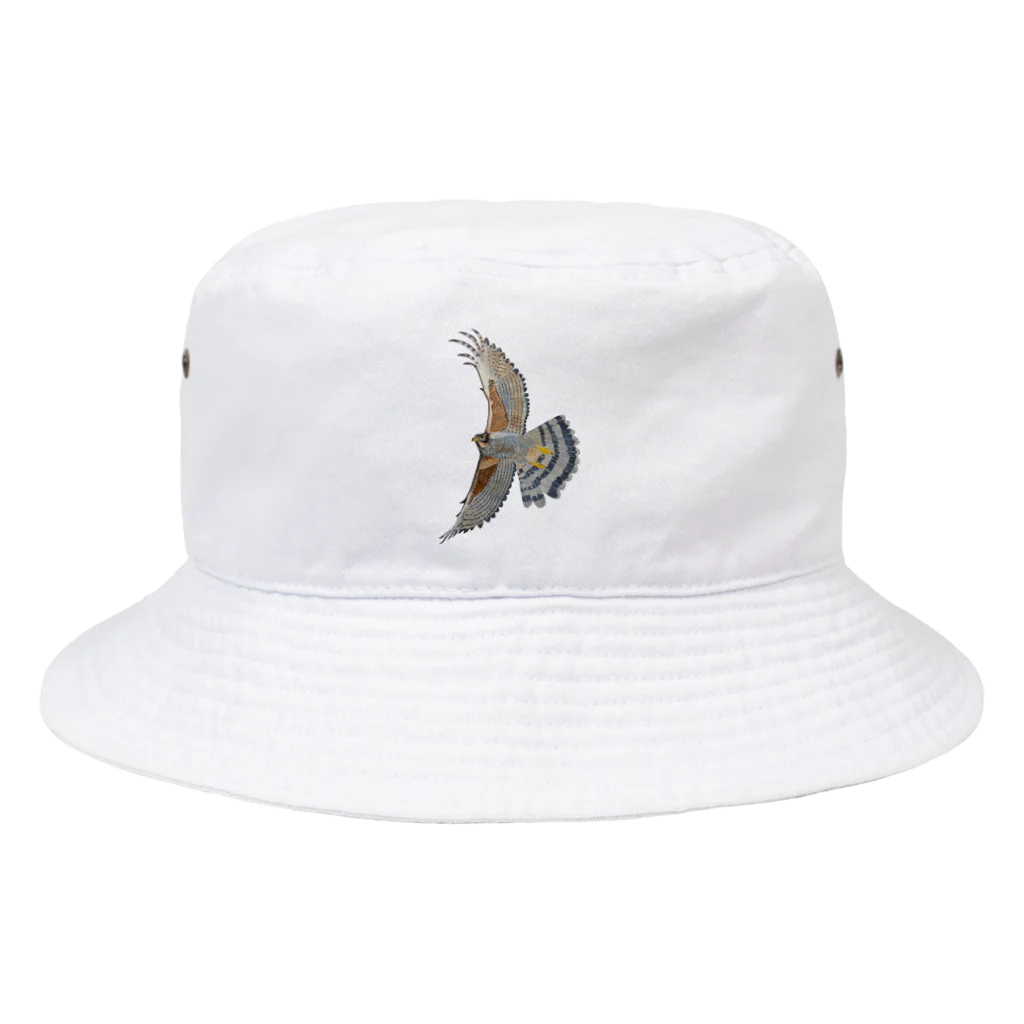 Coshi-Mild-Wildのサシバ_D Bucket Hat