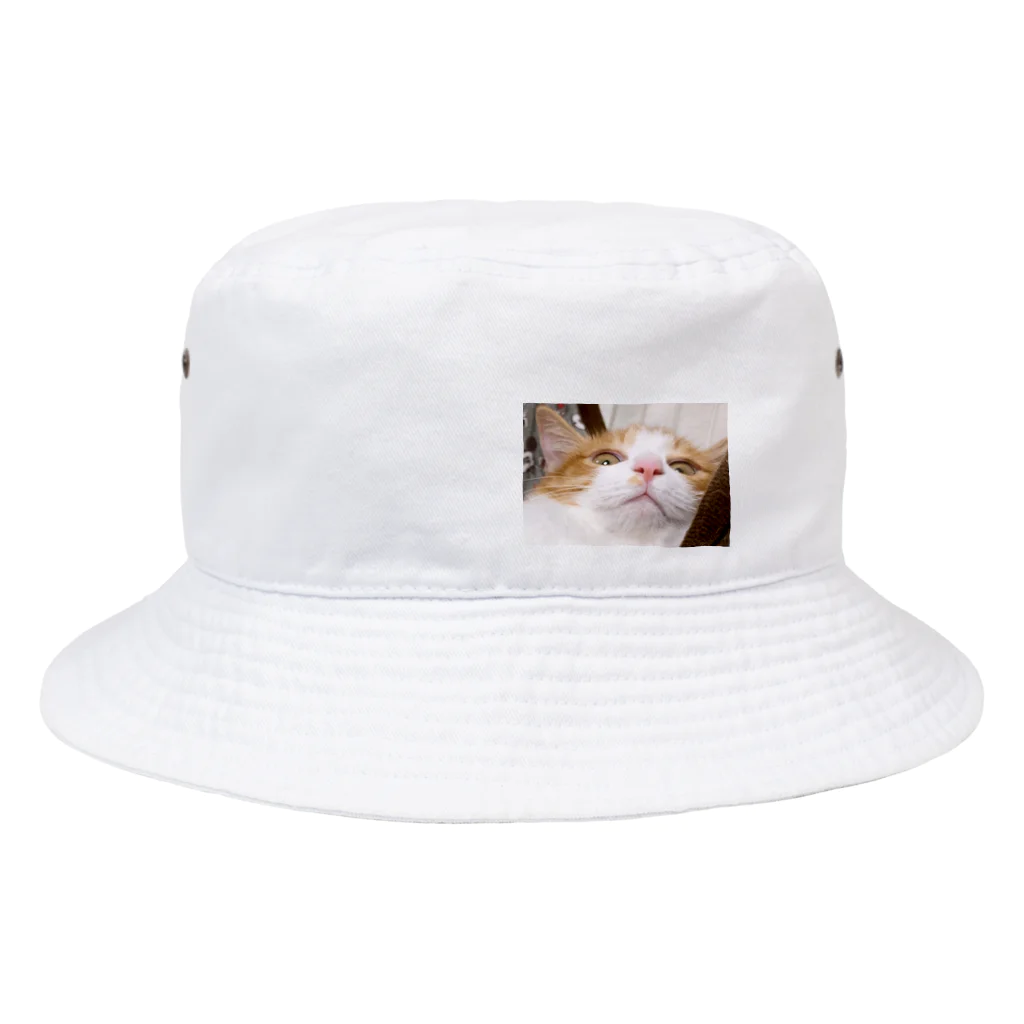 mintoのさくらくん びっくり Bucket Hat