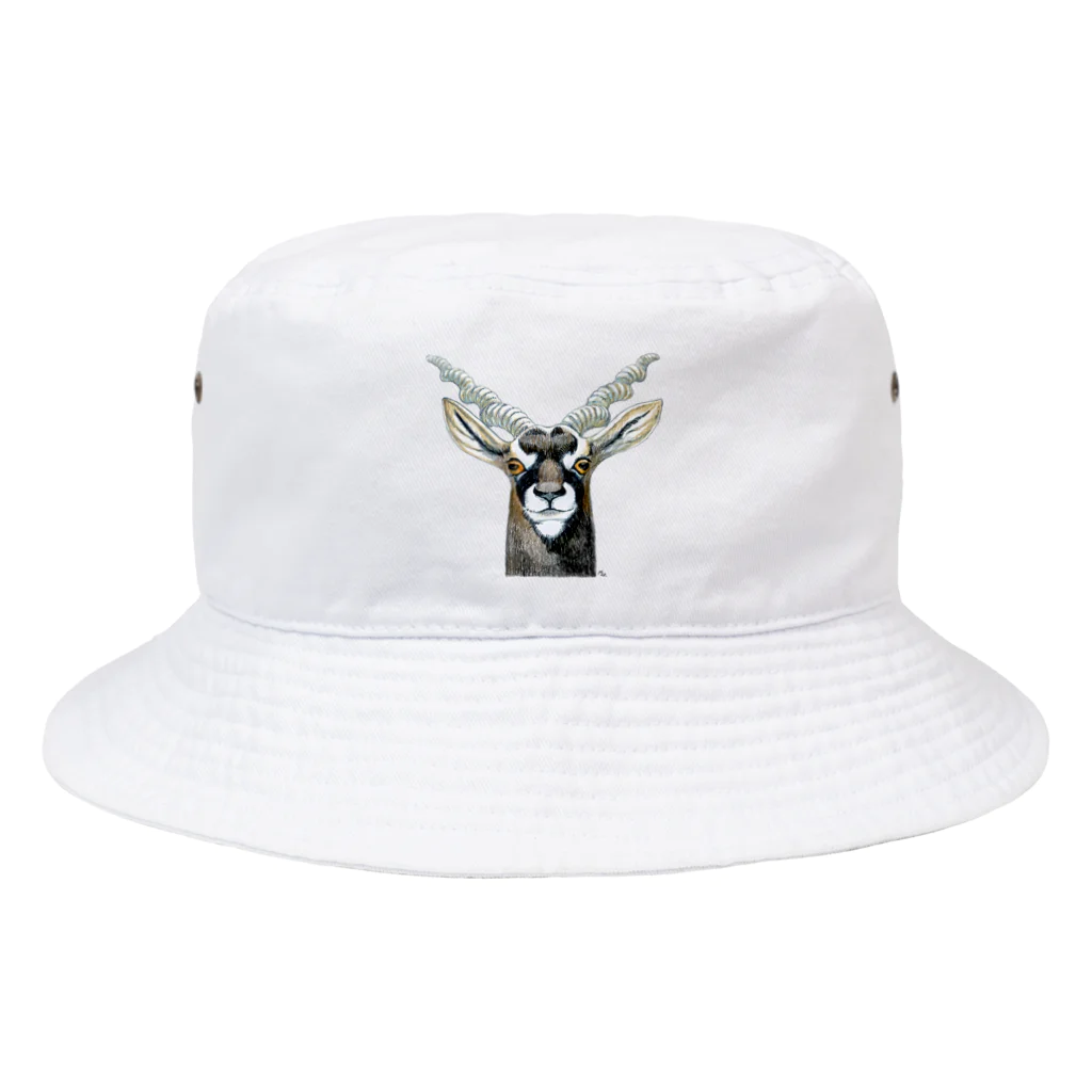 segasworksのブラックバック Bucket Hat