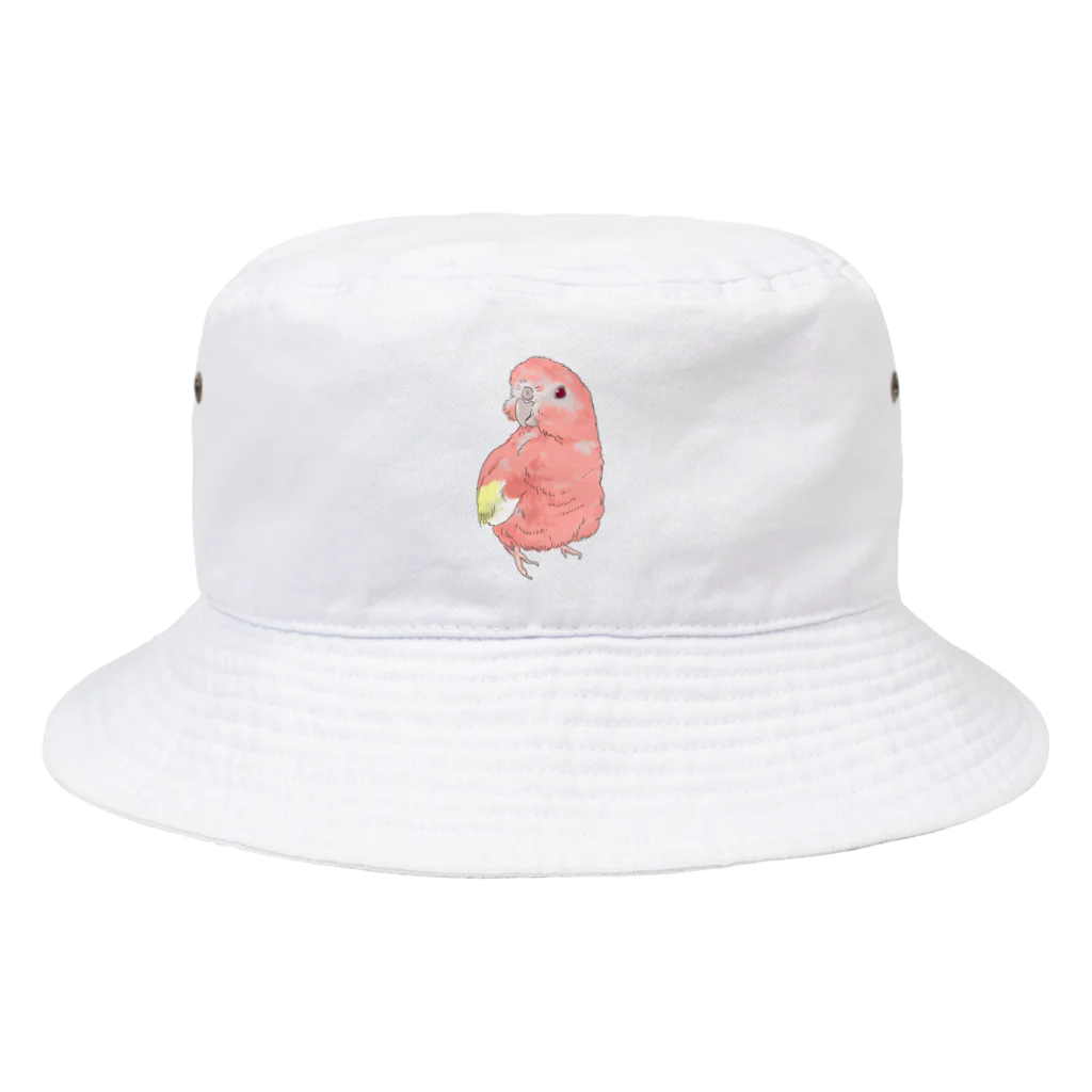 アキクサインコのチャムのアキクサインコのチャム（ドヤ） Bucket Hat