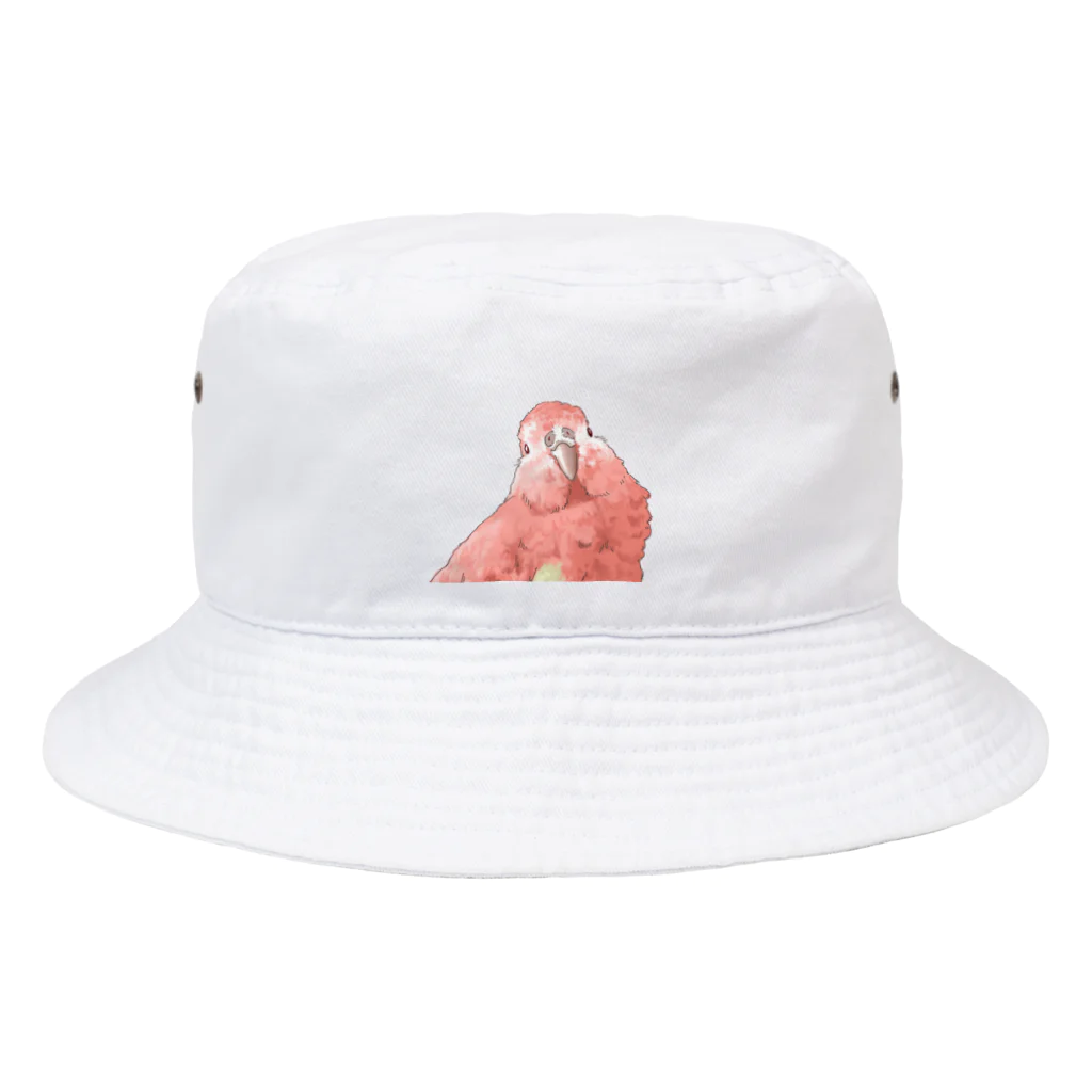 アキクサインコのチャムのアキクサインコのチャム（首かしげ） Bucket Hat