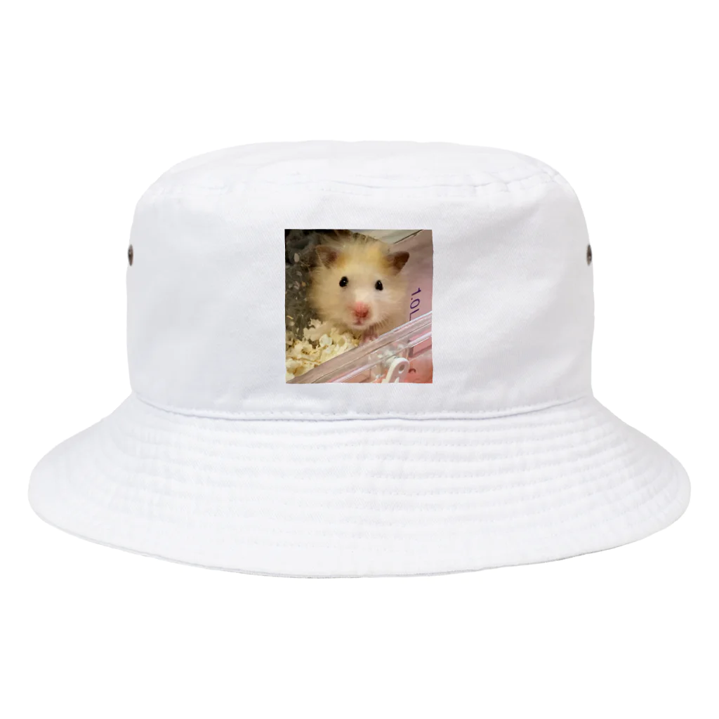 わたぼこりプ•リンのキンクマぷりんくん Bucket Hat