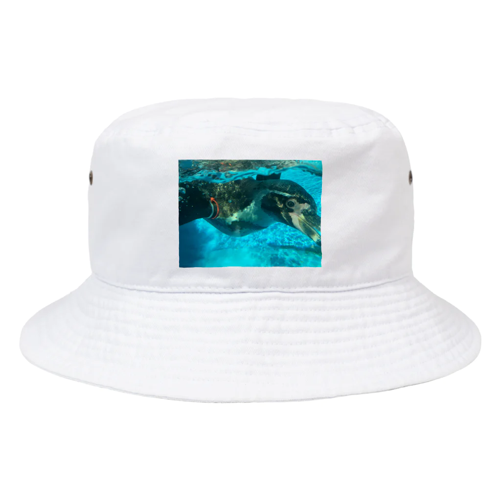 たけのこのぺんぎんのリアル Bucket Hat