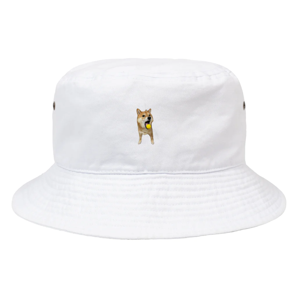 柴犬　晴　カフェオレのボールを取りたいしば犬 Bucket Hat