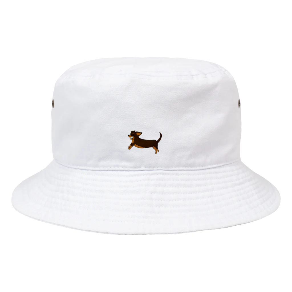 BlumeBellのチワックス・チョコタン Bucket Hat