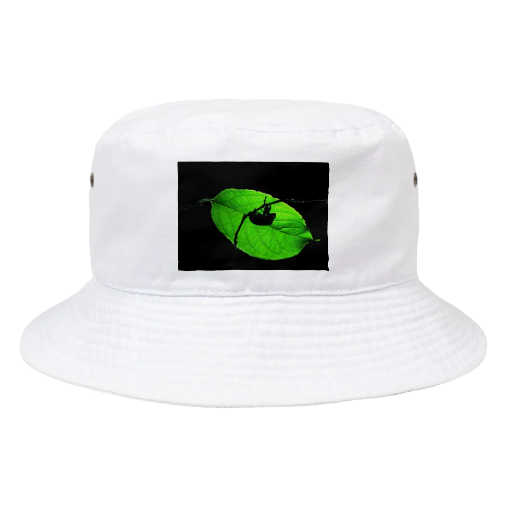 GreenTrexのセミシルエット Bucket Hat