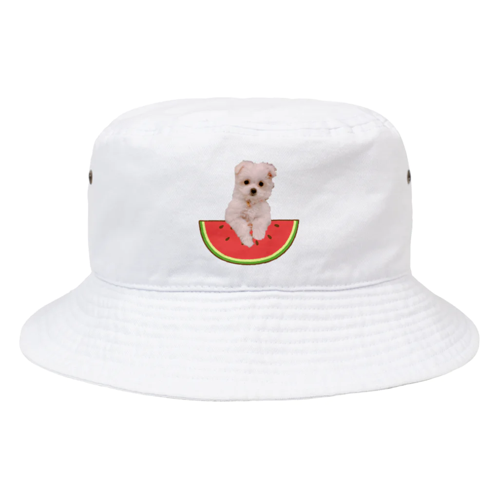 shiromofuのあめちゃん🍬夏 Bucket Hat