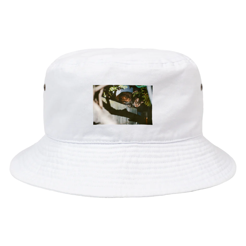 日常の一コマの猫 Bucket Hat