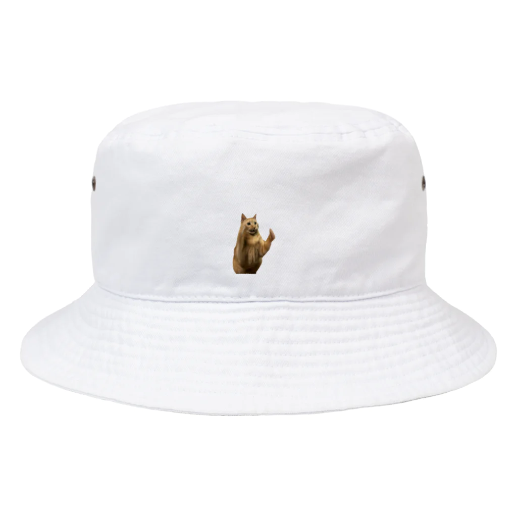 nennekozouのよく食べるおおきいねこ Bucket Hat