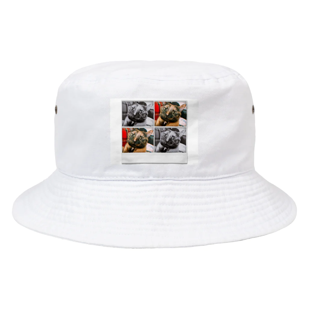 おうちねこのきゅうちゃん Bucket Hat