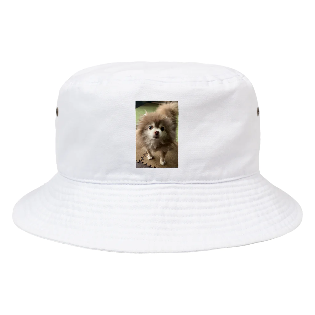 大林加奈かなやん1120のらむちゃん Bucket Hat