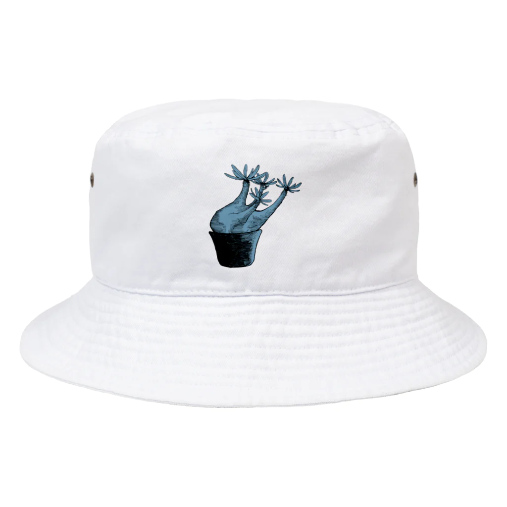 Pot.のパキポディウム Bucket Hat