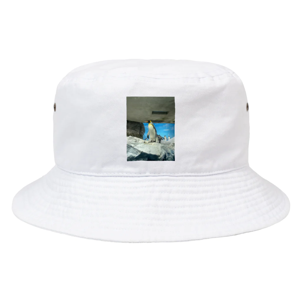 キャットストリートのペンギンストーリー Bucket Hat