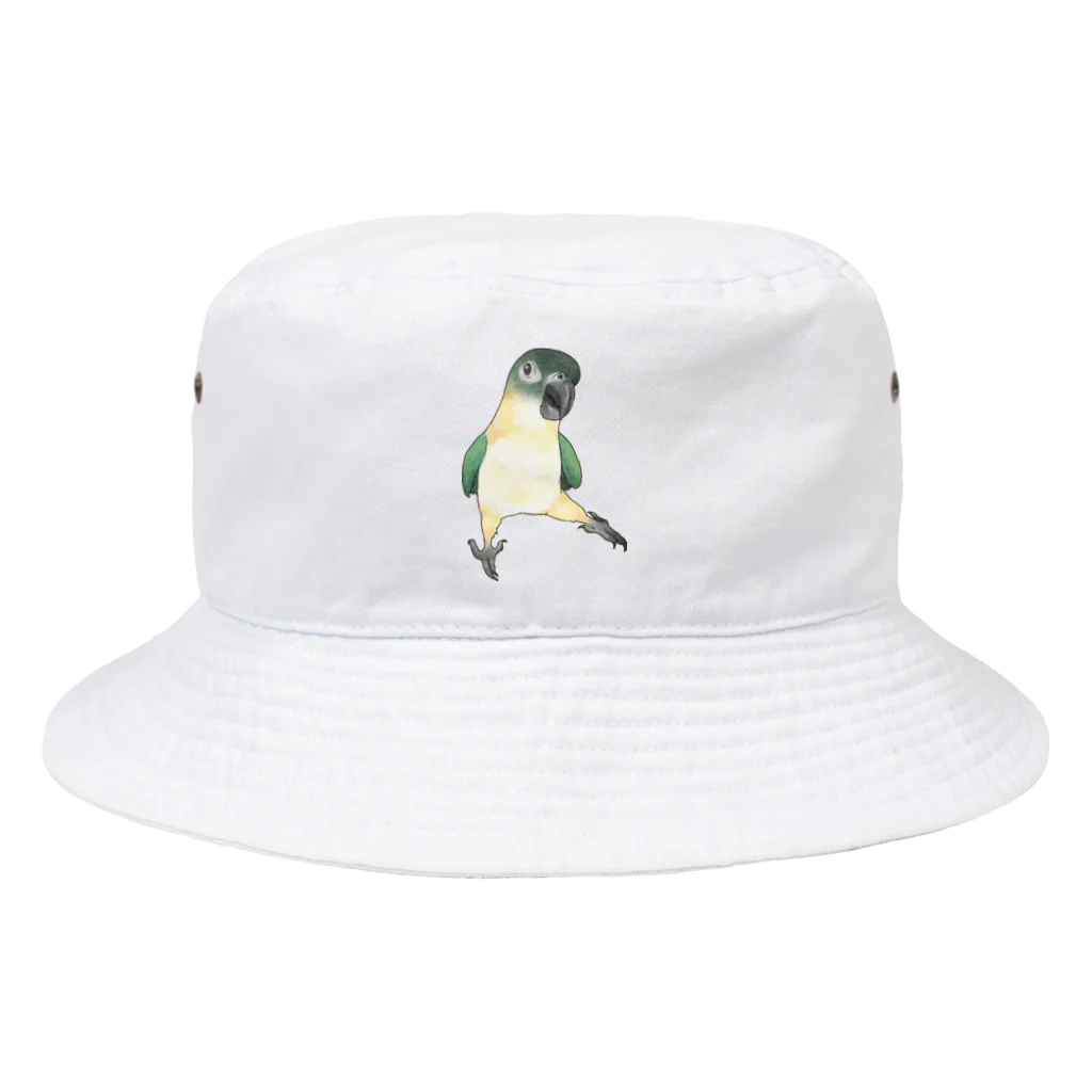 まめるりはことりのご機嫌なズグロシロハラインコのカイ君【まめるりはことり】 Bucket Hat