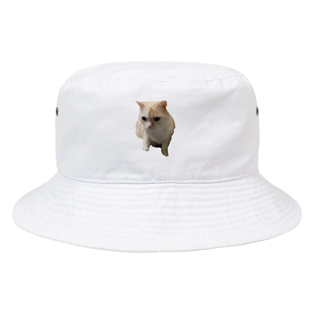 我が家の猫『なると』くんのなるとくん　帽子 Bucket Hat