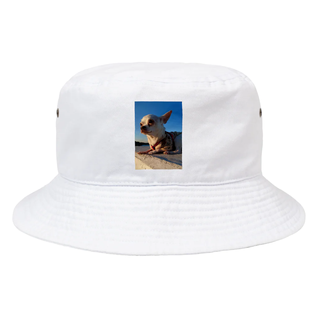 うめこずかんの海辺のうめこ１ Bucket Hat