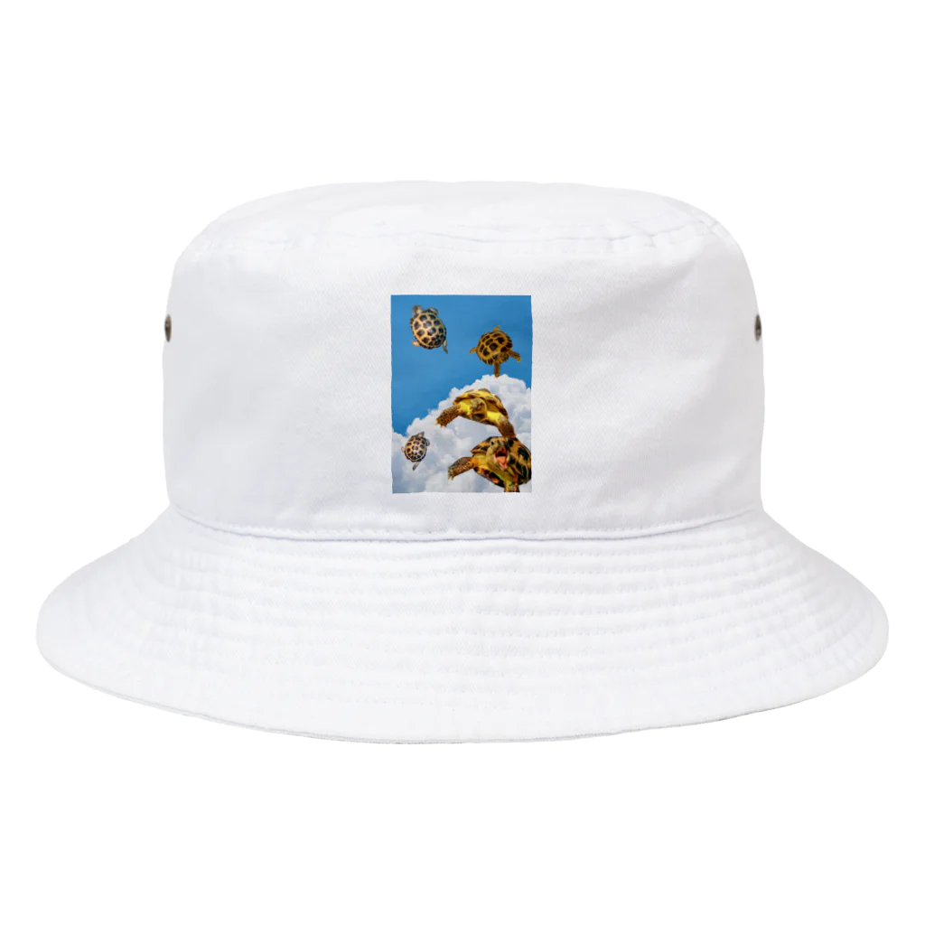 ロシアリクガメのサロンちゃんのお店のお空をとんだよ Bucket Hat