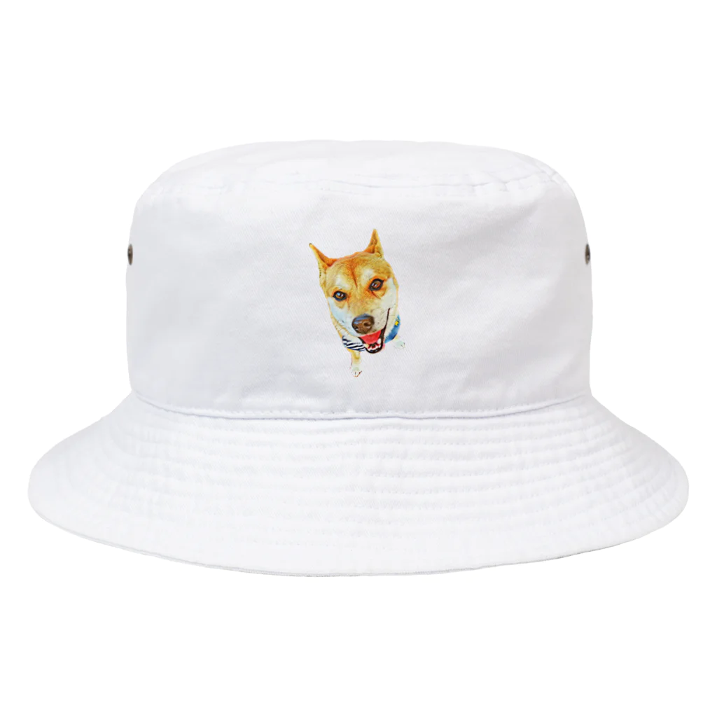 うちのペットが1番！のまめた🐕 Bucket Hat