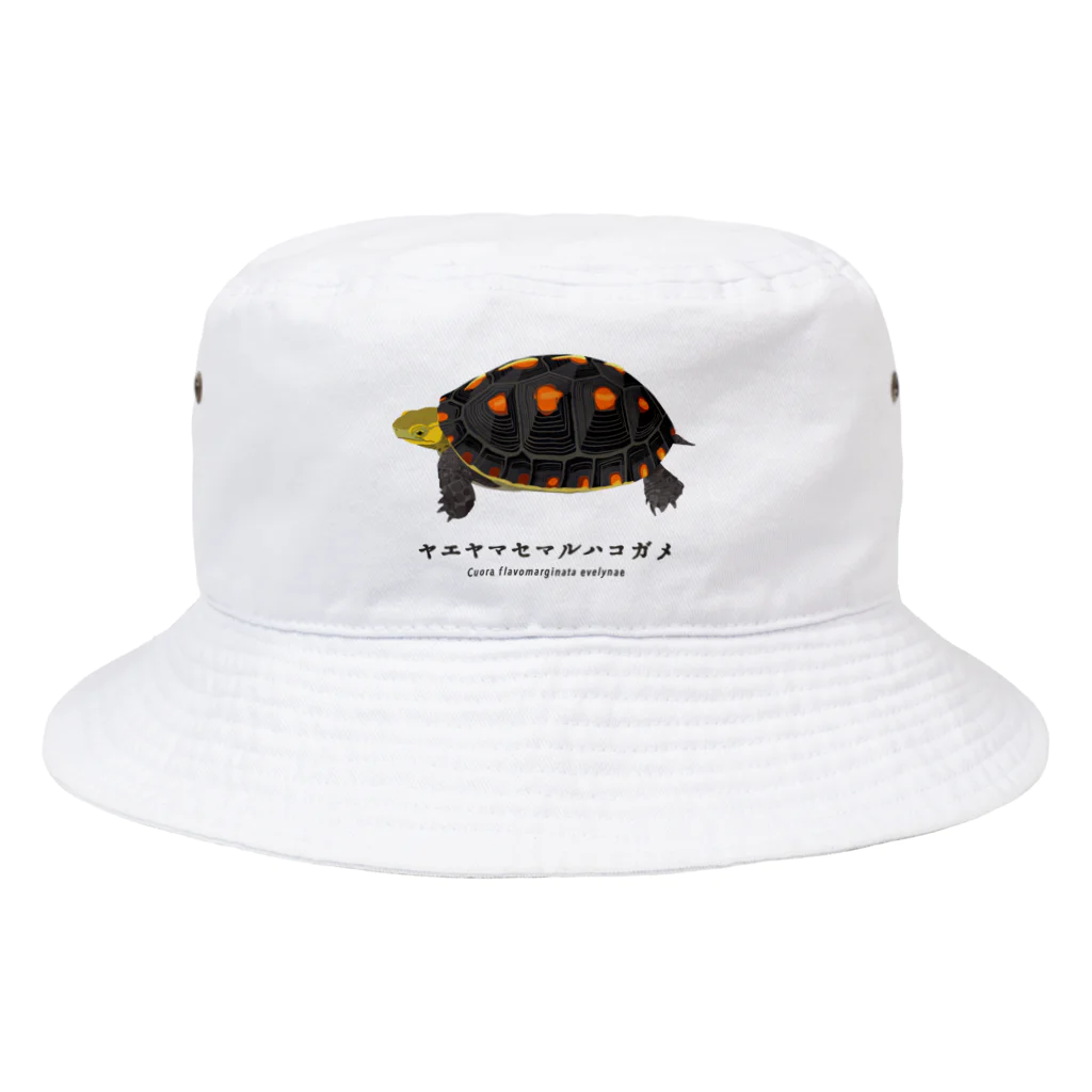 さちこの生物雑貨のヤエヤマセマルハコガメ Bucket Hat