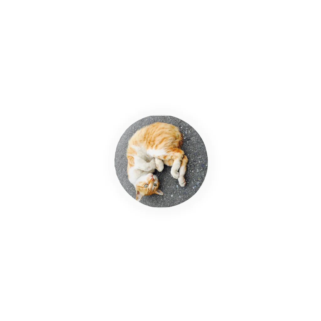 おのあきおの丸まり猫 Tin Badge