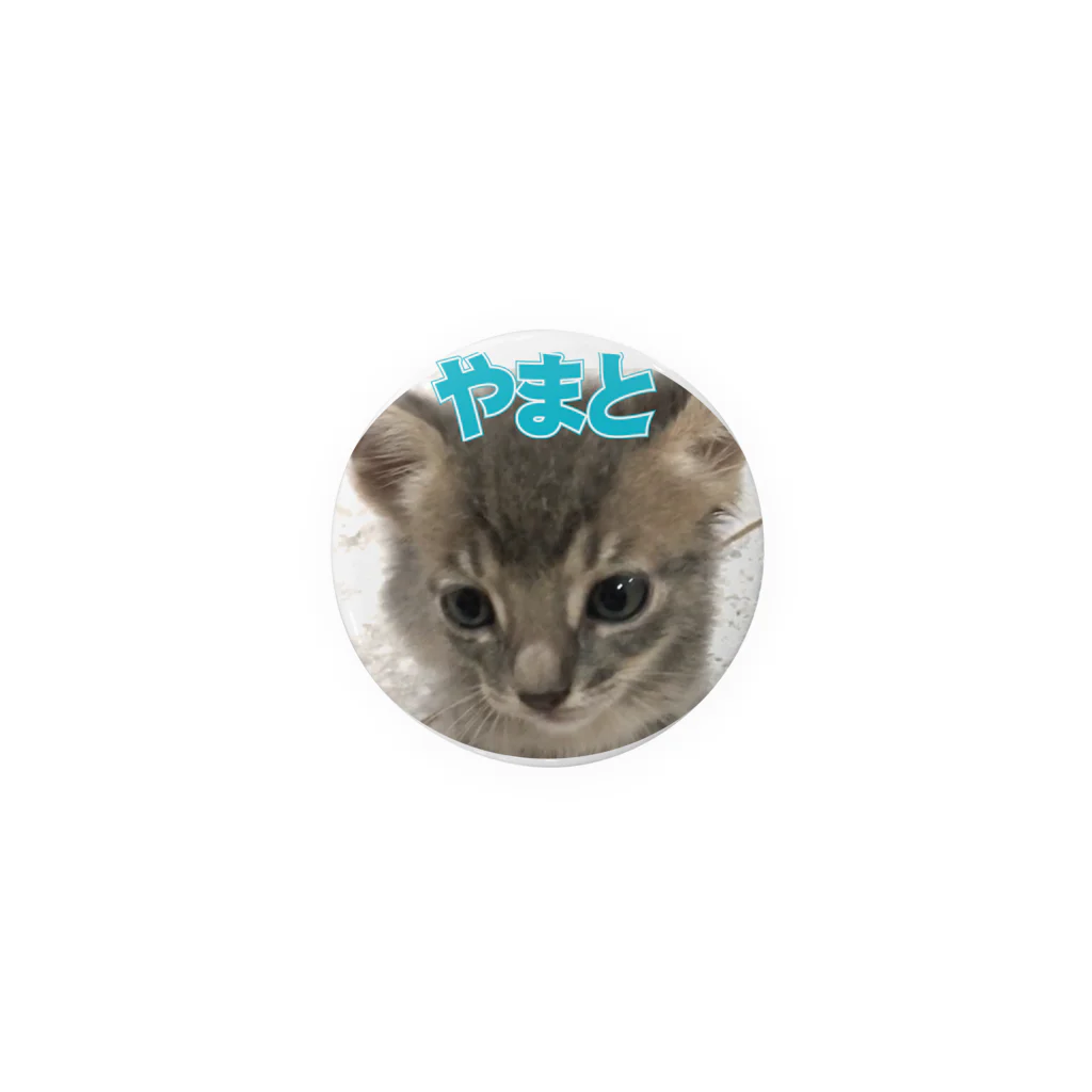 【OFFICIAL】ねこぱんち Paraguay 公式ショップのねこぱんちセブン・シリーズ（やまと）44ｍｍ Tin Badge