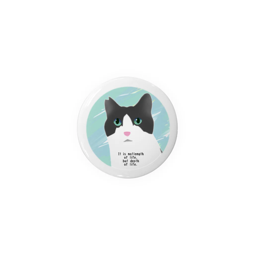 ひげ猫マリオのハチワレ猫 猫山さん2 Tin Badge
