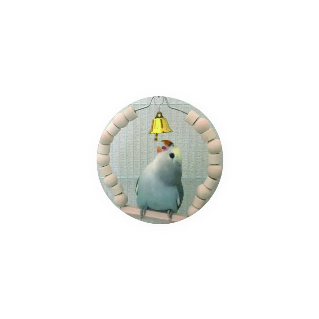 コザクラインコ　キキの暮らしのコザクラインコ　缶バッジ Tin Badge