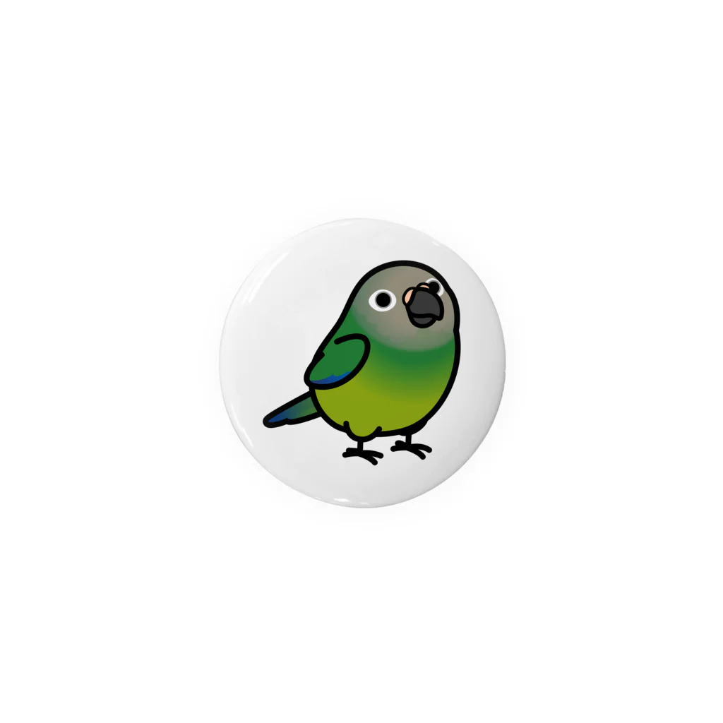 Cody the LovebirdのChubby Bird シモフリインコ (44mm専用ページ） Tin Badge