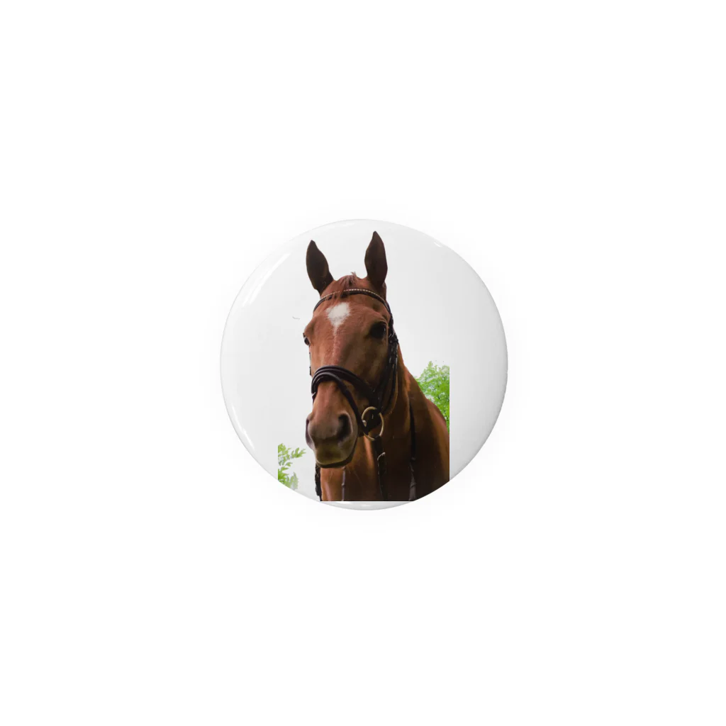 Teatime ティータイムの牧場 乗馬 馬術の馬 Tin Badge