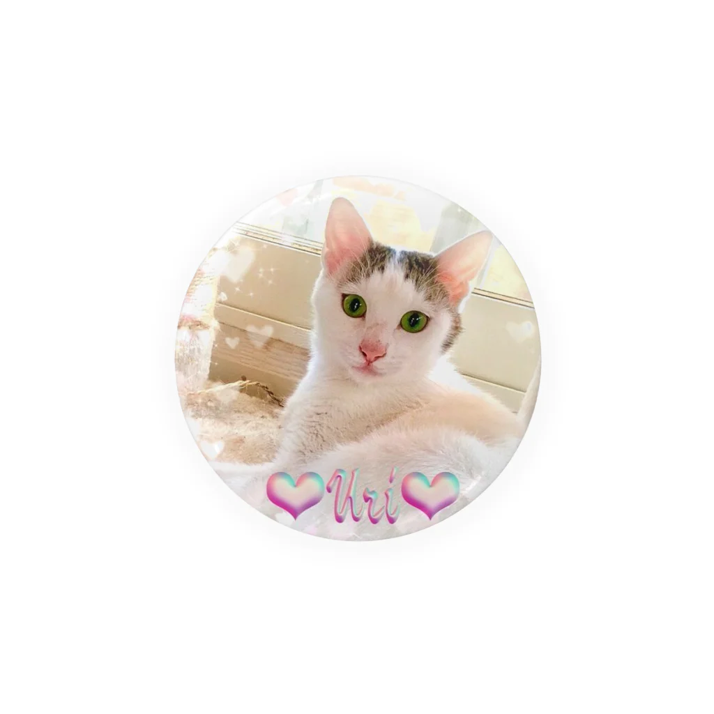 猫しゃちょうのひめぶ～さん家の、うりちゃんｉｎ北海道 Tin Badge