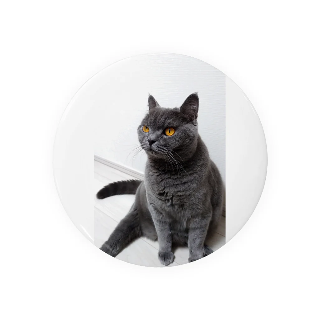 ねこのきまぐれのくつろぎブルー Tin Badge