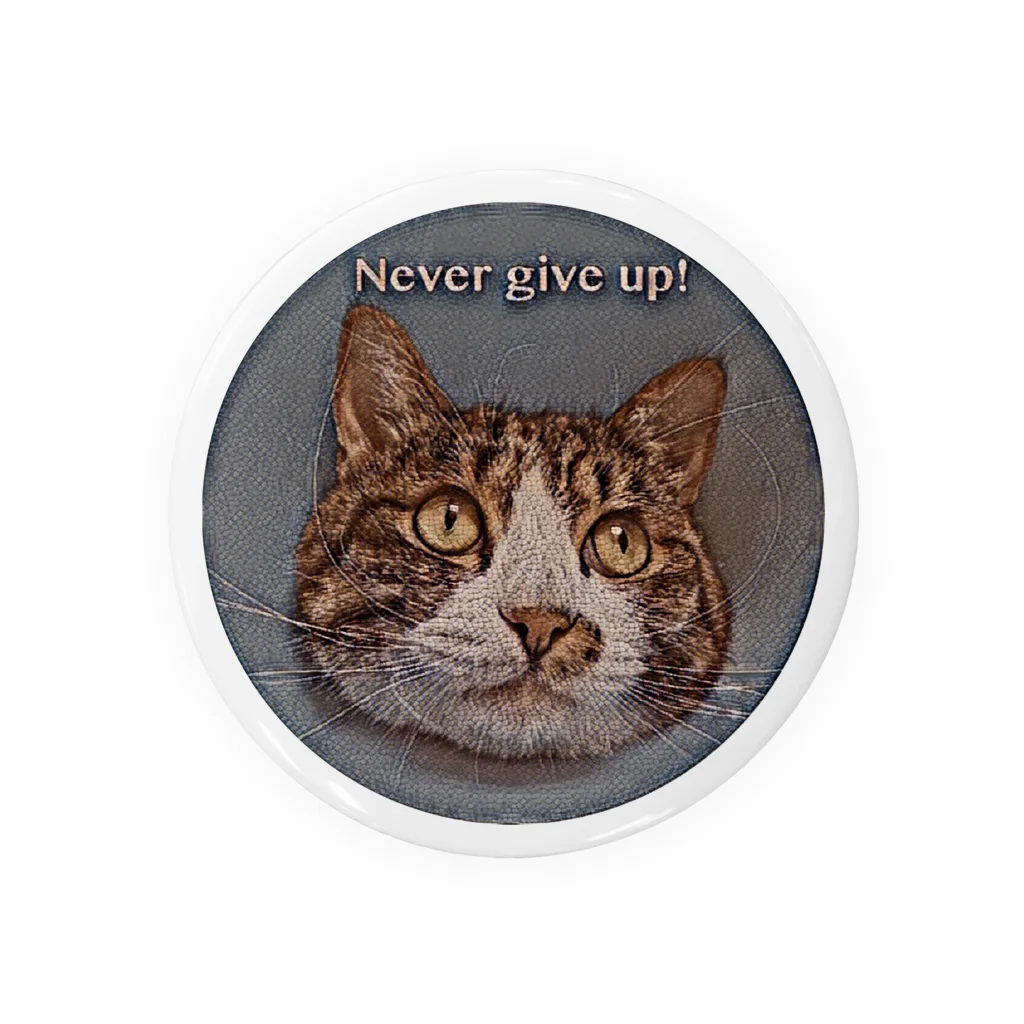 erumaのNever give up Run Tin Badge