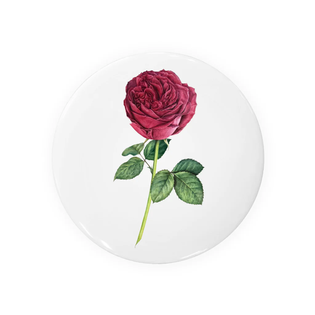 michelleの薔薇園の凛とした薔薇 Tin Badge