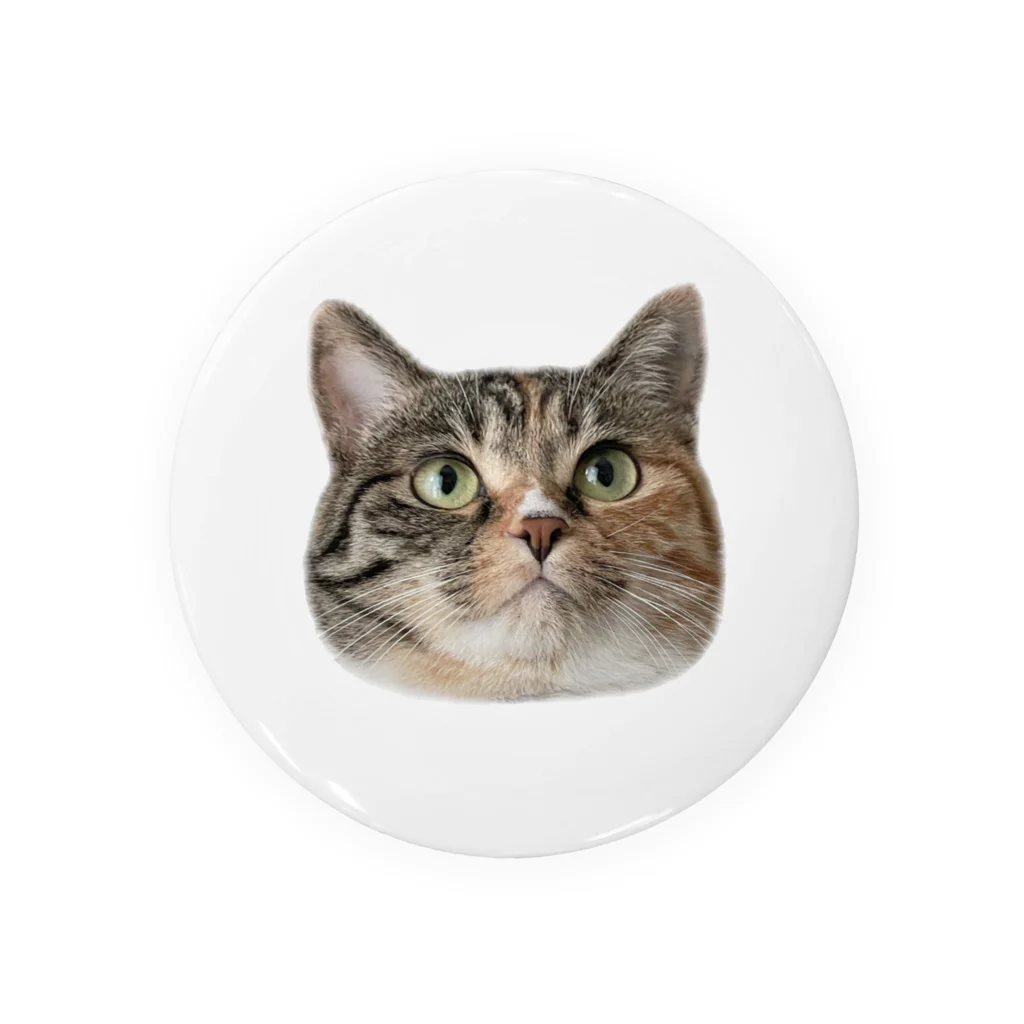 みそちゃんの雑貨屋さんの縞三毛猫のみそ Tin Badge