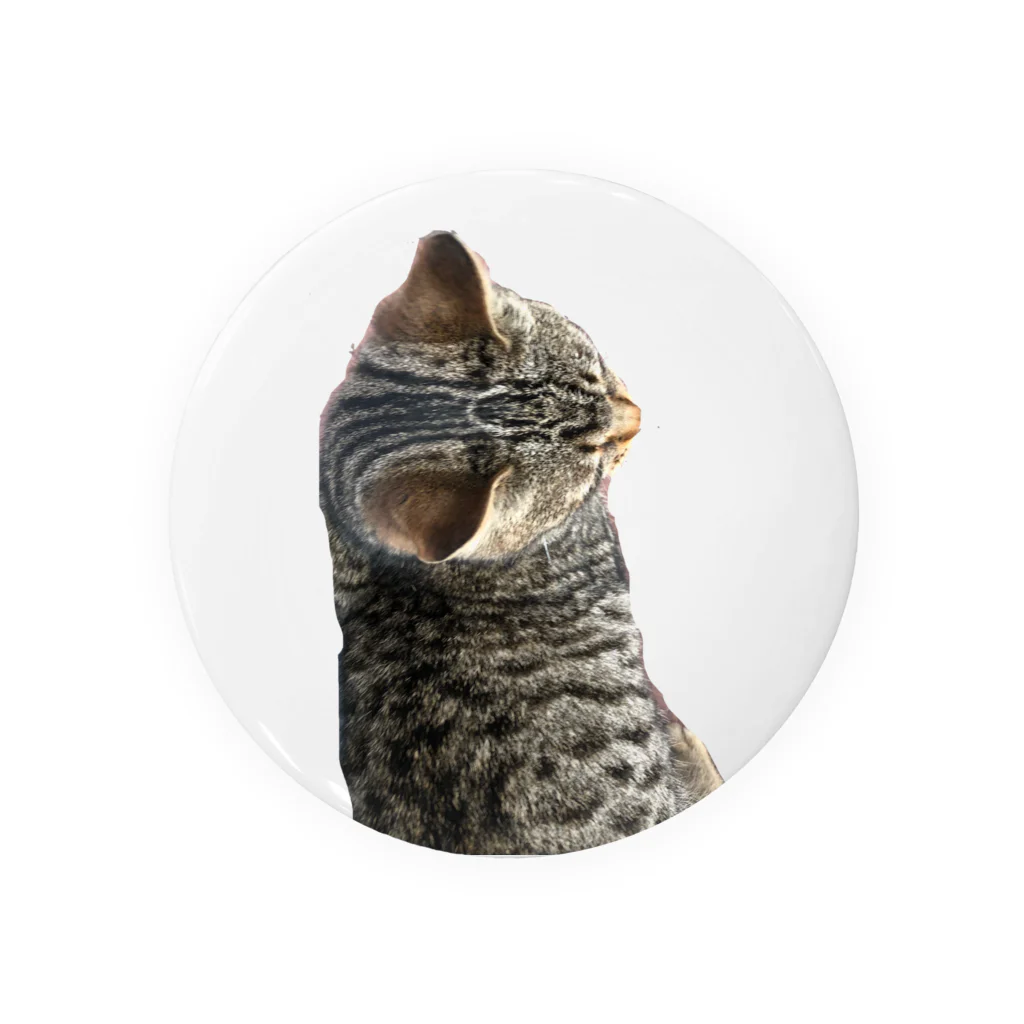 SNOWxxCATのにゃーお Tin Badge