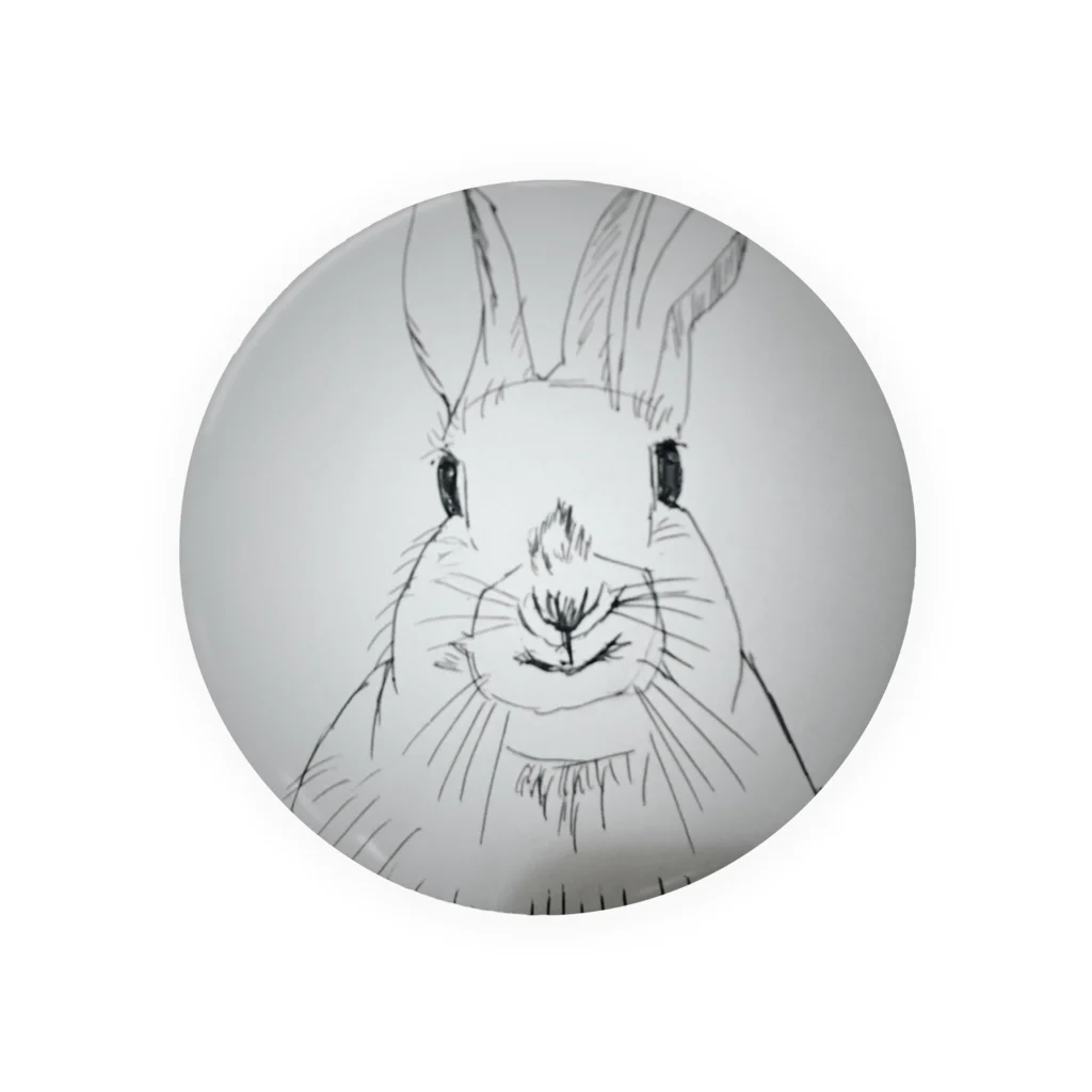 Kumya37のPeter rabbit Tin Badge