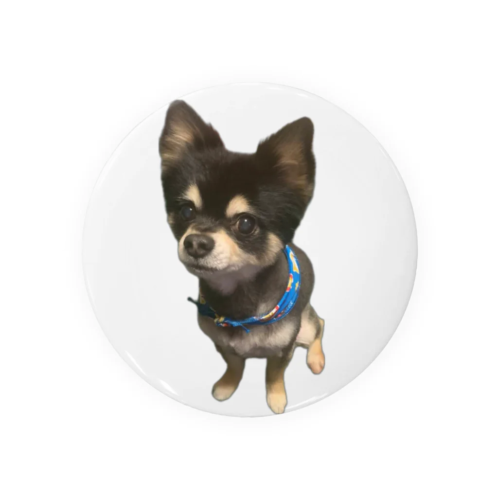 やすりー ショップの我が家の愛犬レン君 🐶 Tin Badge